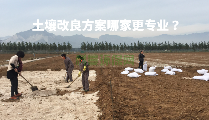 土壤改良方案哪家更專業？怎么比較？