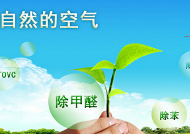 除了空氣凈化器，還有哪些方法可以有效去除甲醛？